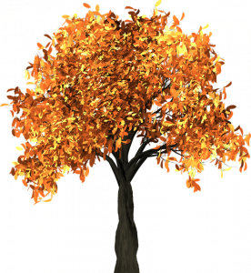 tree-1658814_640